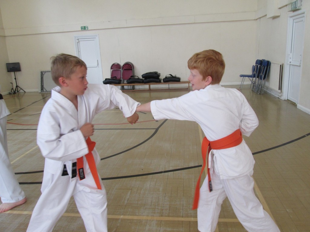 Karate Grading