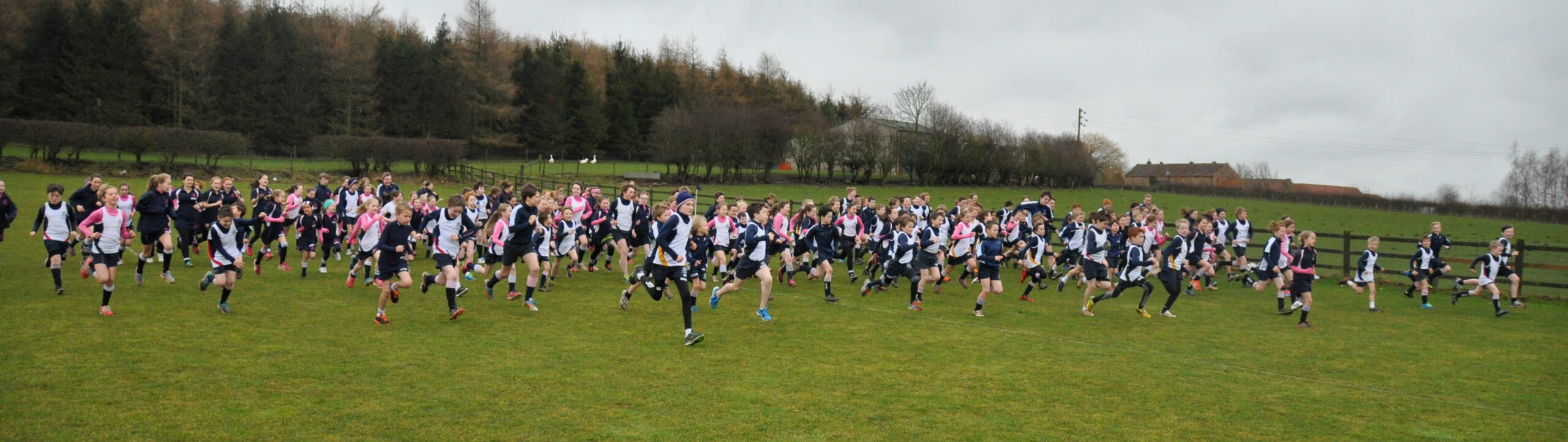 Chocolate Cake Race