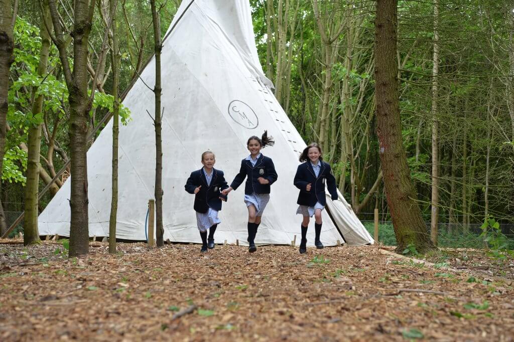 Wild Wood Adventure Camp