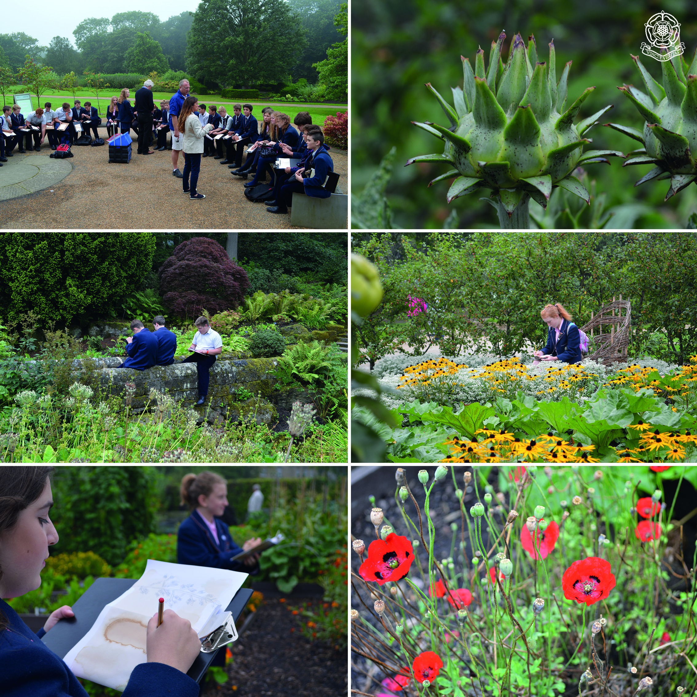 RHS Harlow Carr inspires budding artists