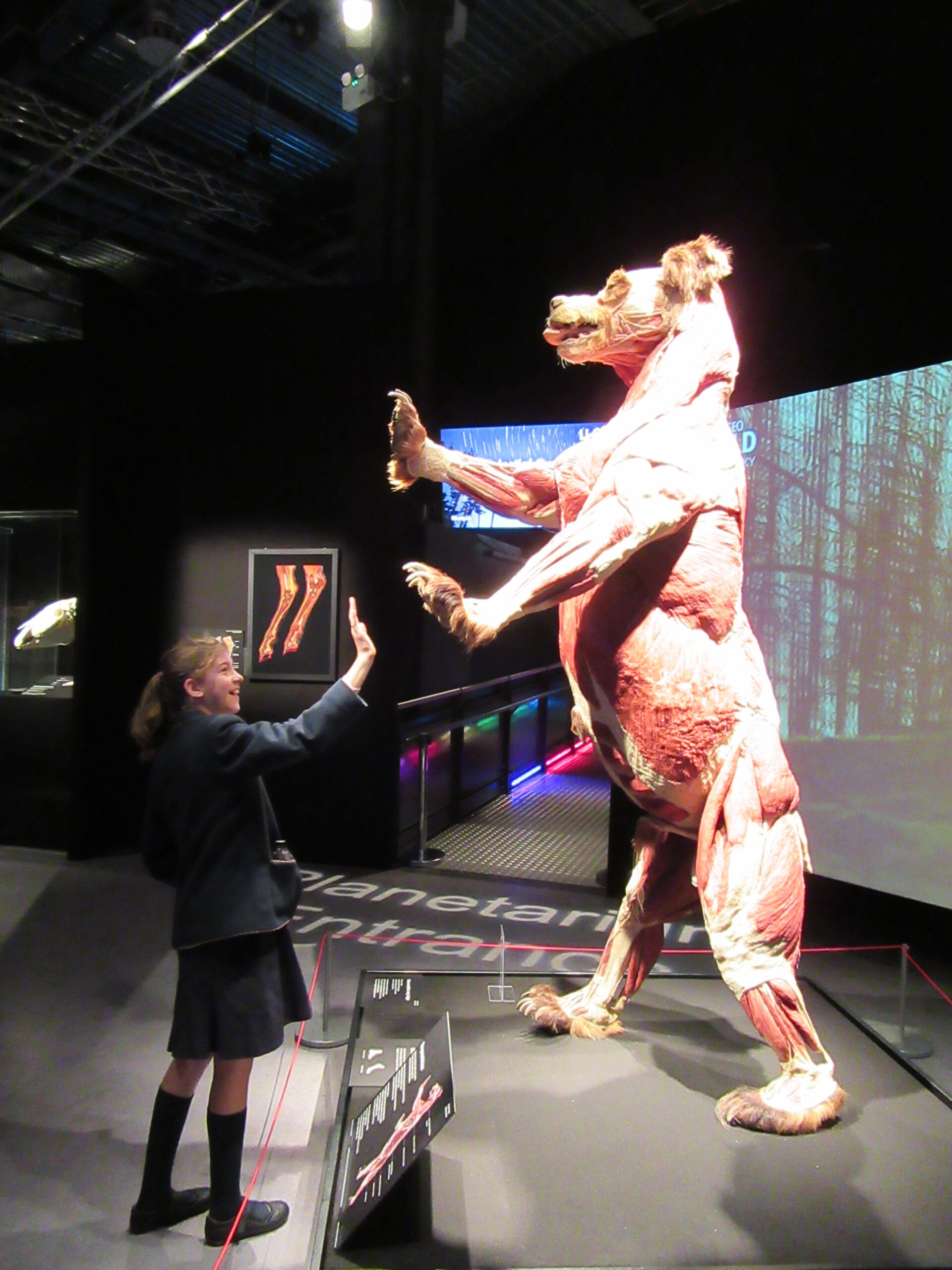 Life Centre Trip gives fresh perspective on science