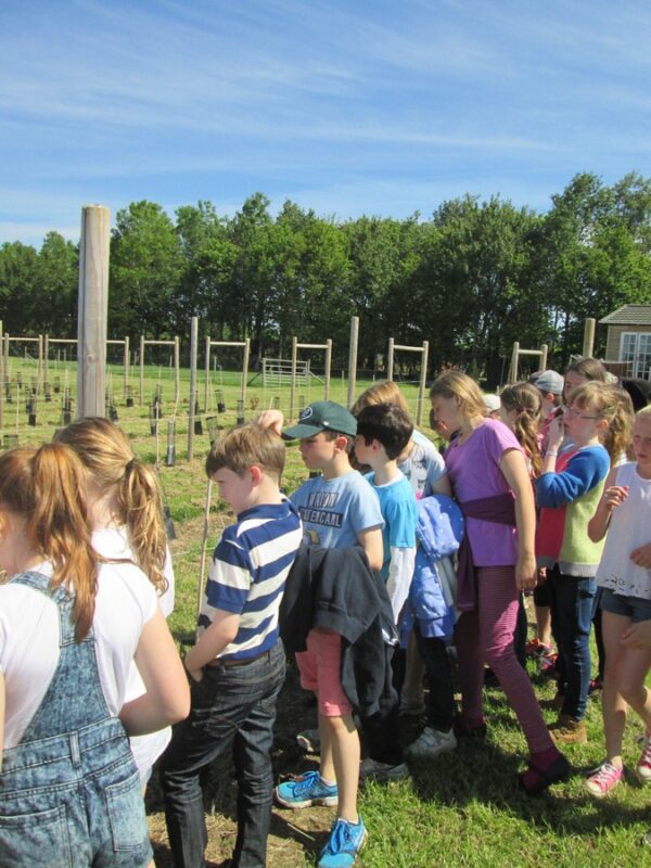 Form 3 on the Farm