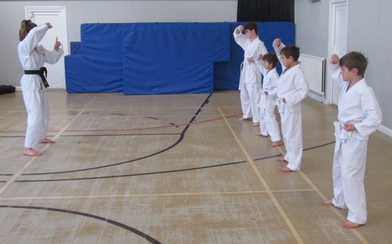 Karate Grading