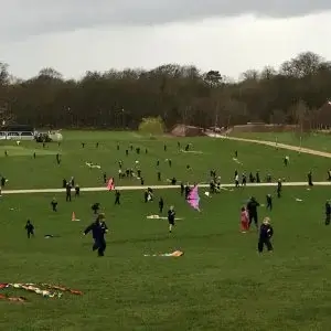 Let’s go fly a kite