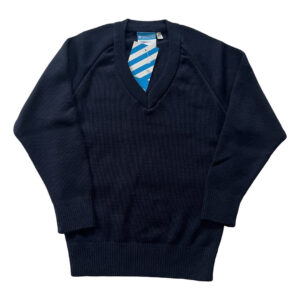 Navy 'V' Neck Jumper